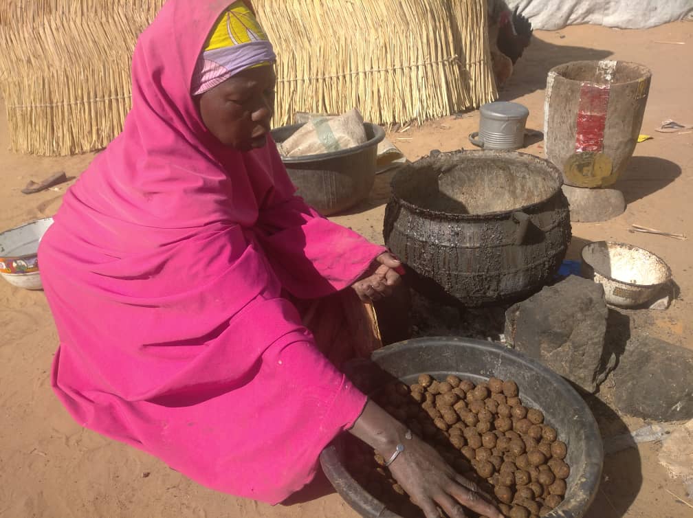 Portrait d’une femme veuve produisant du Soumbala à Diffa