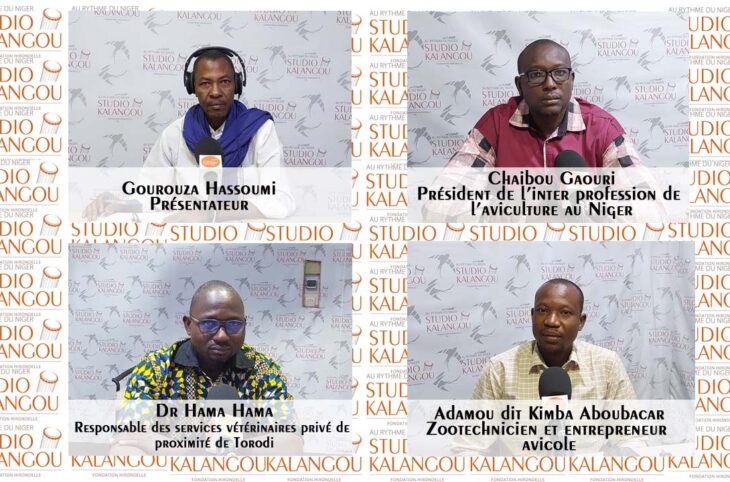 [comment relancer le développement du secteur avicole nigérien après l’épidémie de la grippe aviaire ?