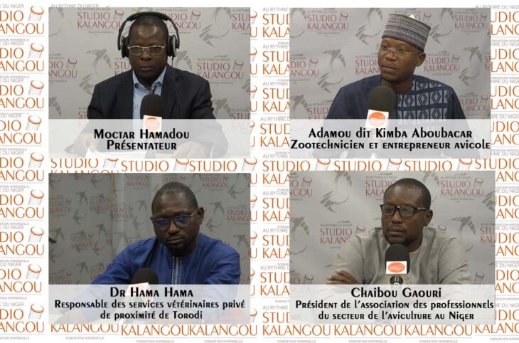 Comment renforcer le développement du secteur avicole nigérien après l’épidémie de la grippe aviaire ?