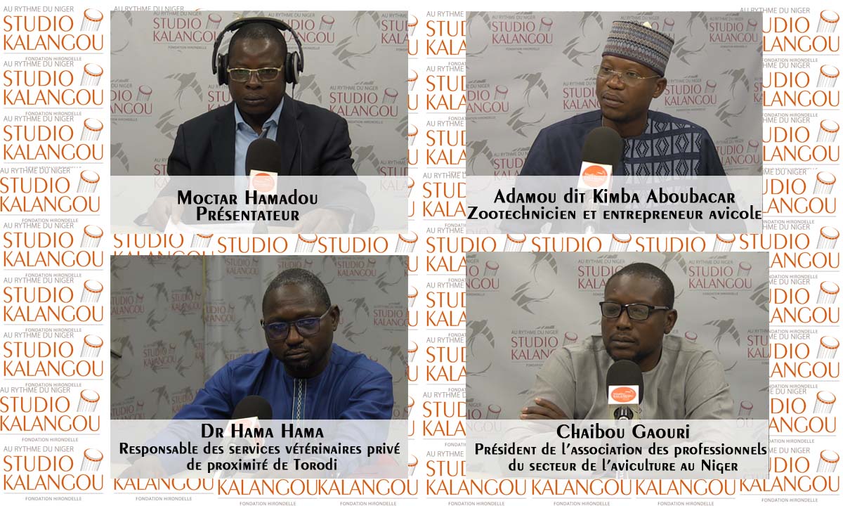 Comment renforcer le développement du secteur avicole nigérien après l’épidémie de la grippe aviaire ?