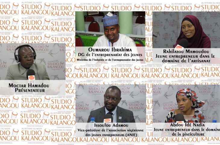la problématique de l’entreprenariat des jeunes au Niger : comment y faire face ?