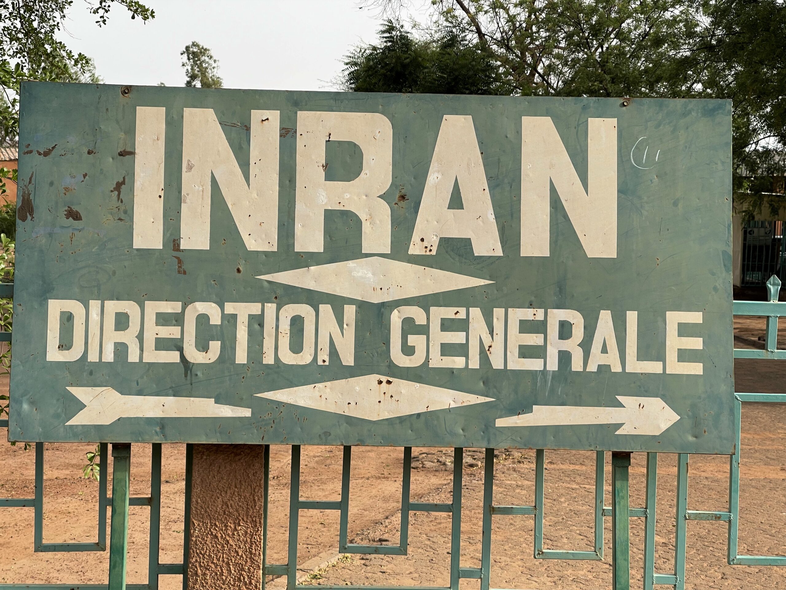 A la découverte de la station INRAN de Bengou 