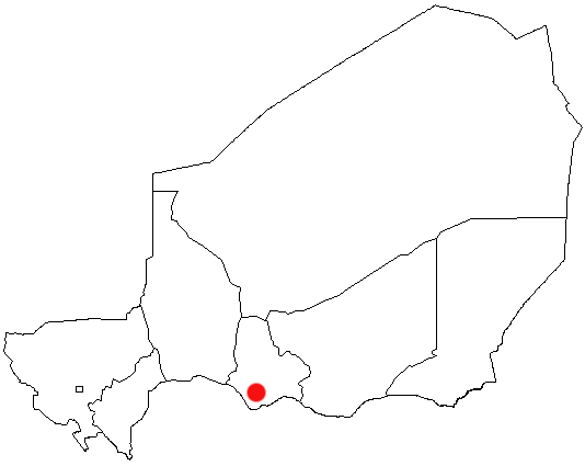 Evolution de la situation sécuritaire à Maradi 