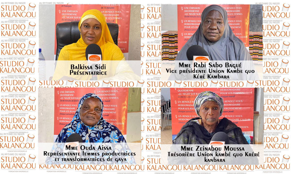 L’autonomisation des femmes dans l’exploitation des terres : Exemple de l’union des femmes productrices de céréales de Gaya