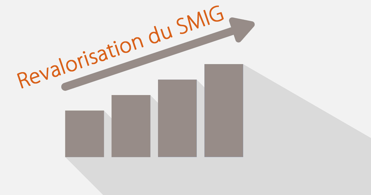 Revalorisation du SMIG au Niger