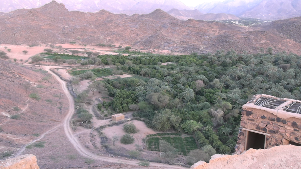 A la découverte de la réserve naturelle de Timia Studio Kalangou Au