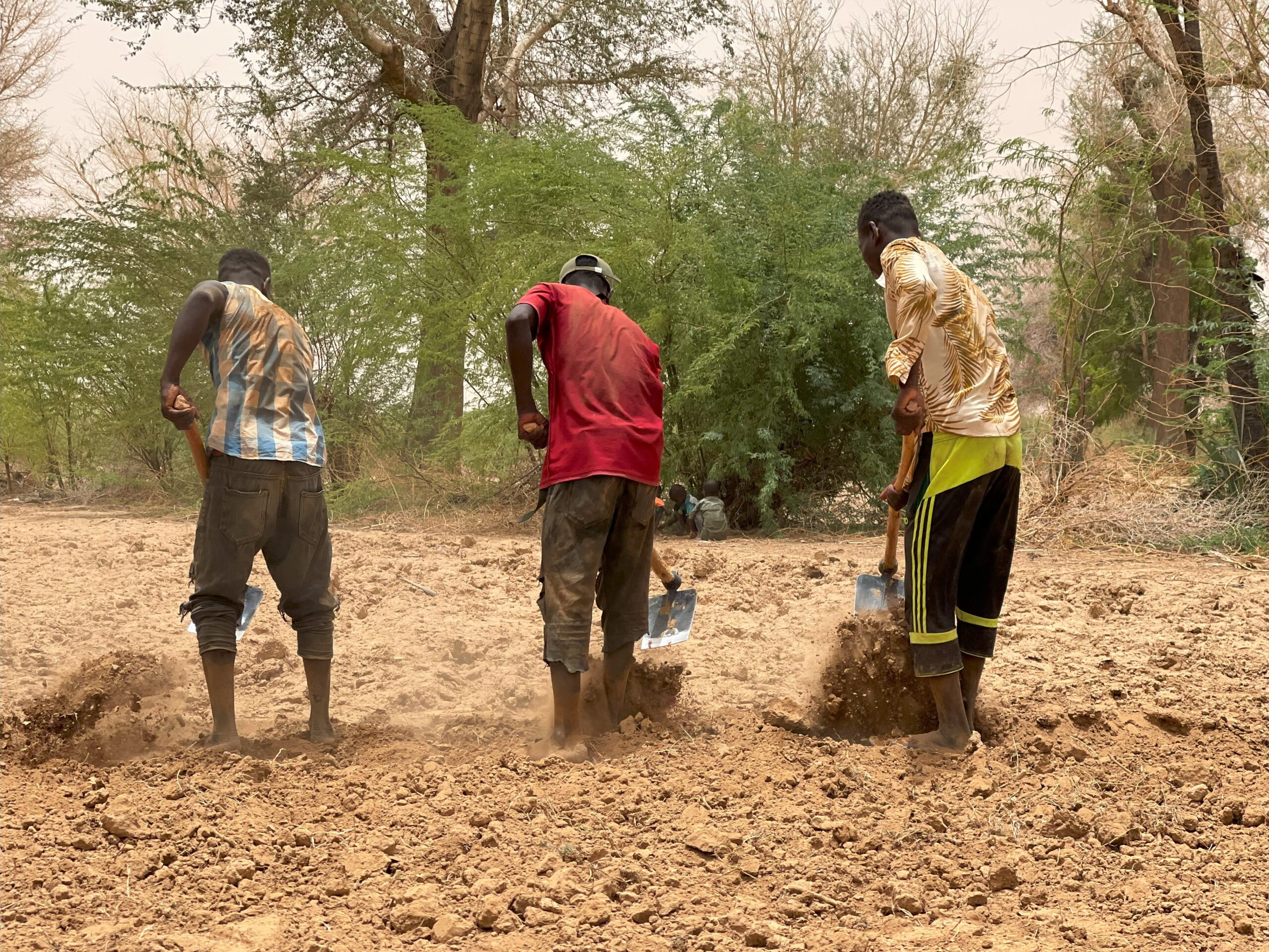 L’impact du changement climatique sur l’agriculture au Sahel 