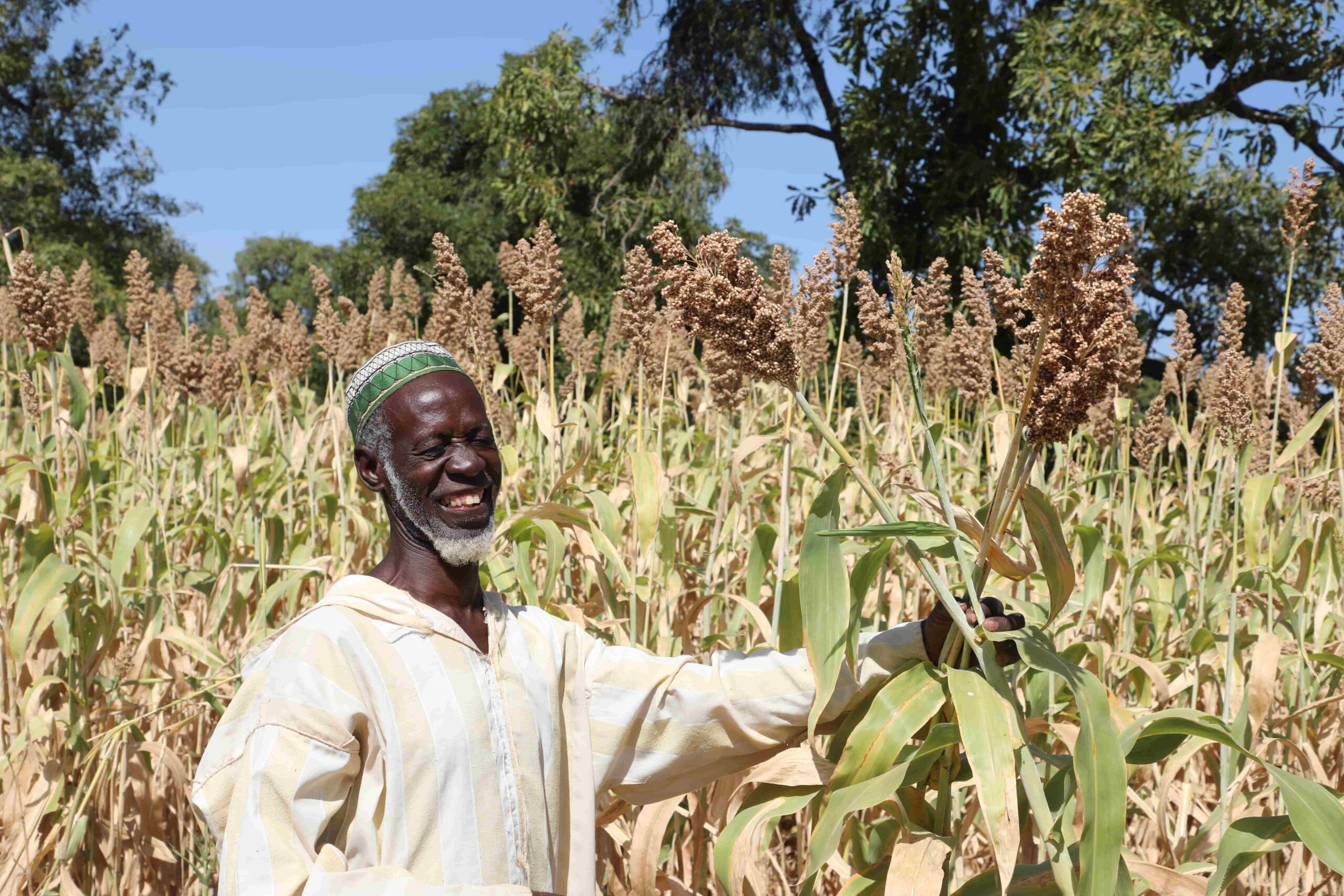 Pourquoi une assurance agricole au Niger ?