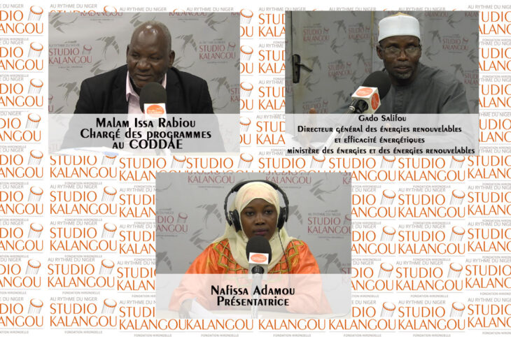 [Rediffusion] Promotion des énergies renouvelables au Niger, quelles avancées ?