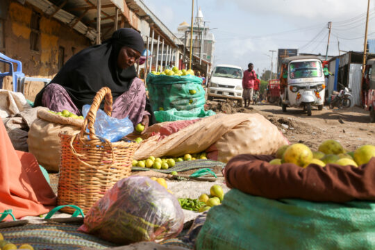 Une femme assise en train de vendre des citrons dans un marché - Source de la photo : iwaria.com
