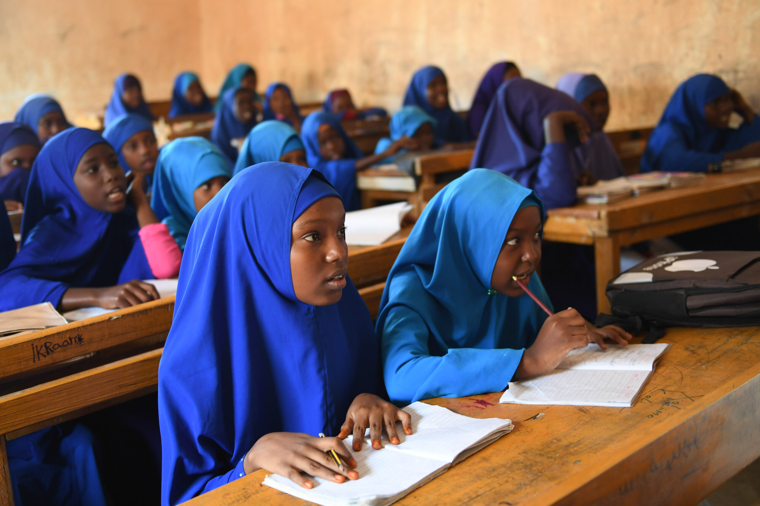 Fonctionnement de l’école rurale professionnelle de Kargui Bangou