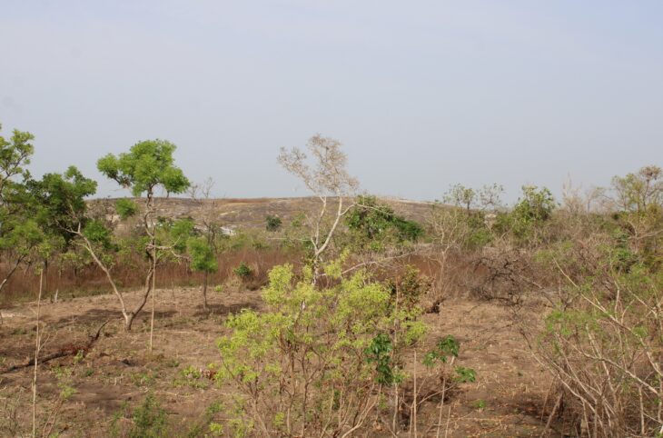Forêt classée de chabare Tessaoua 