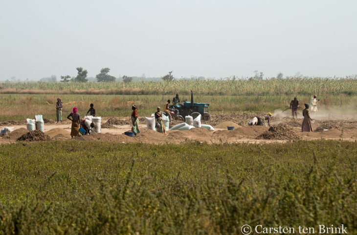 Changement climatique et terrorisme au sahel 