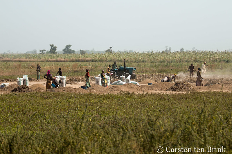 Changement climatique et terrorisme au sahel 