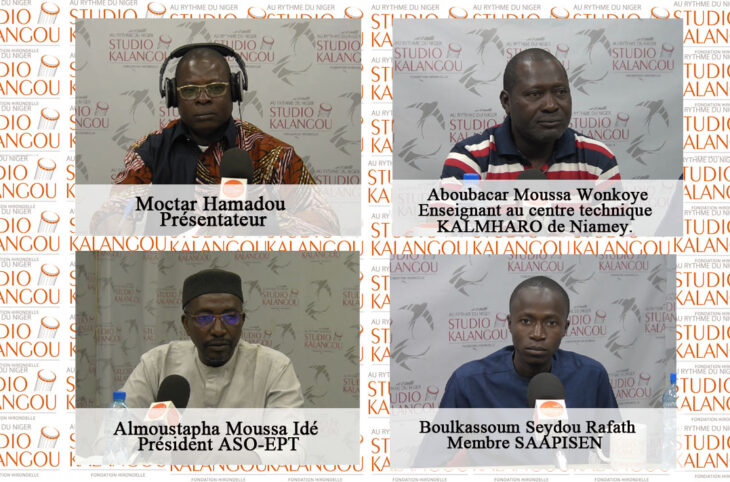 Enseignement professionnel et technique au Niger : comment répondre aux exigences du marché de l’emploi ?