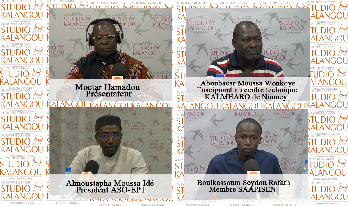 Rediffusion : Enseignement professionnel et technique au Niger : comment répondre aux exigences du marché de l’emploi ?