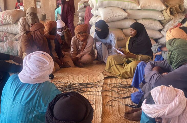 Jeunes et maraichage à Agadez : opportunité d’emploi et défis ?