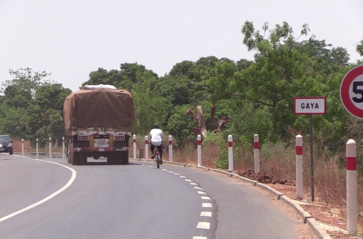 zoom sur l’épicentre de la lutte traditionnel (Gaya) et l’engouement chez les jeunes