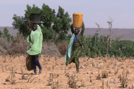 Des femmes transportant un bidon et un seau d'eau