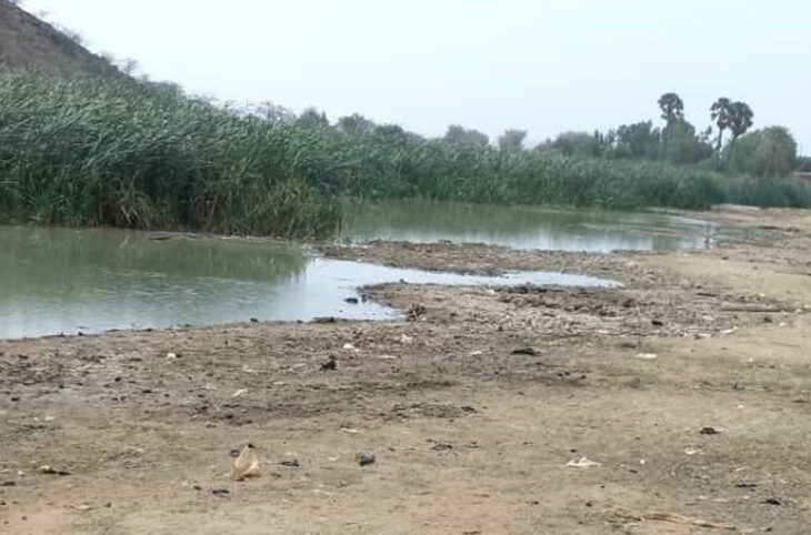 La mare permanente de Birni N’Gaouré en voie de disparition