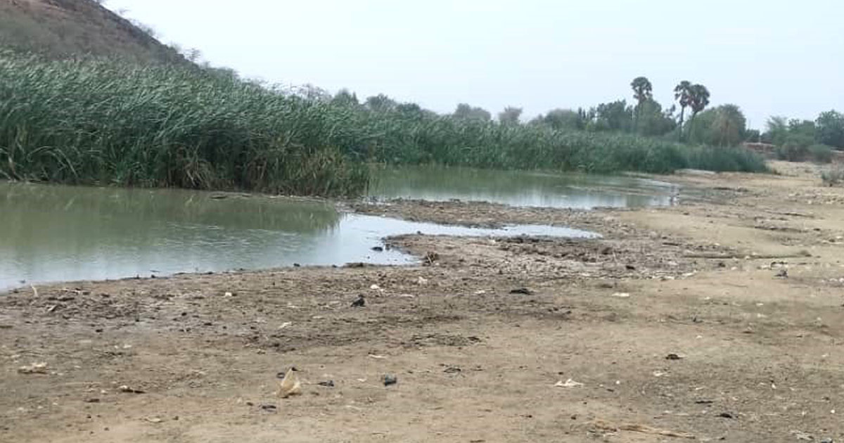 La mare permanente de Birni N’Gaouré en voie de disparition