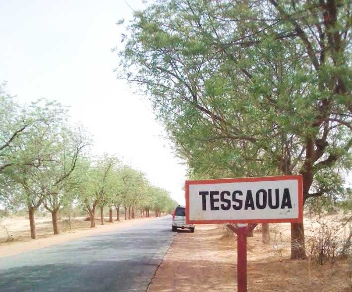 Comment se fait la préservation des arbres de Dan Ankara de Tessaoua ?
