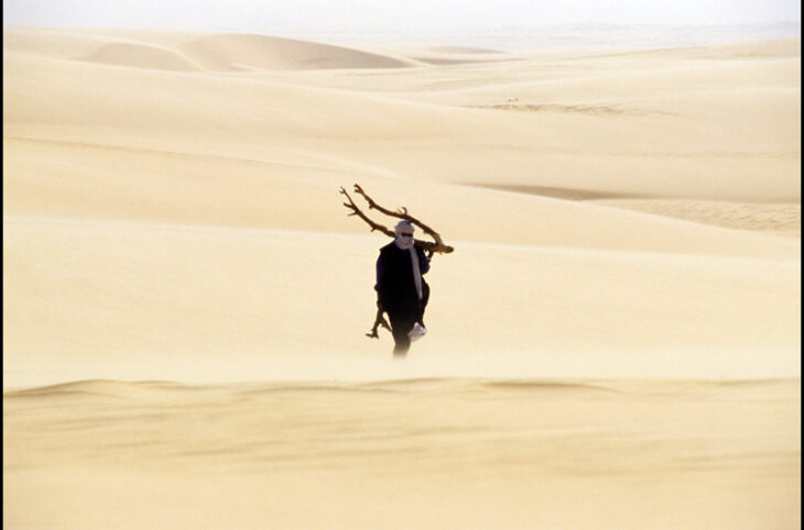 L’ensablement des cuvettes et Oasis de Bilma