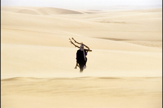 Bilma affronte depuis plusieurs décennies l'avancée implacable du désert. Photo par Alessandro Vannucci - Source: flickr.com