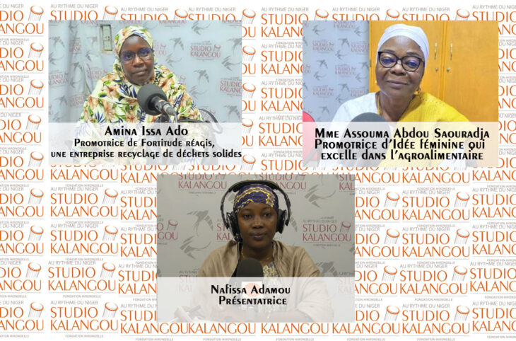 Femmes et Entreprenariat au Niger : opportunités et obstacles