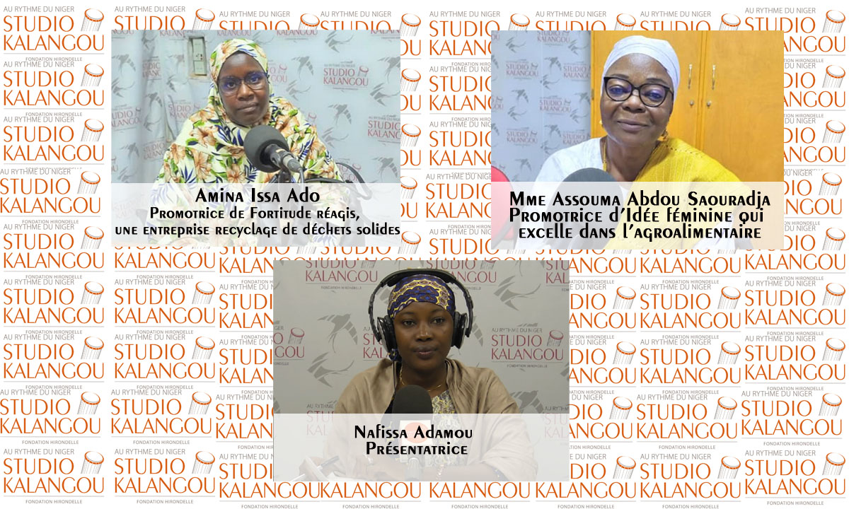 Femmes et Entreprenariat au Niger : opportunités et obstacles