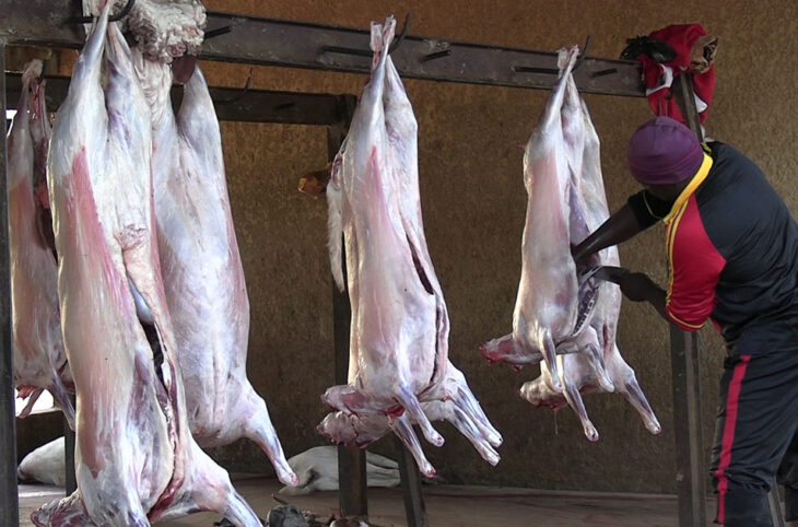 Comment lutter contre l’abattage clandestin des animaux dans la ville de Niamey ?