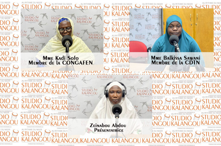 Comment atteindre l’équité professionnelle au Niger ?