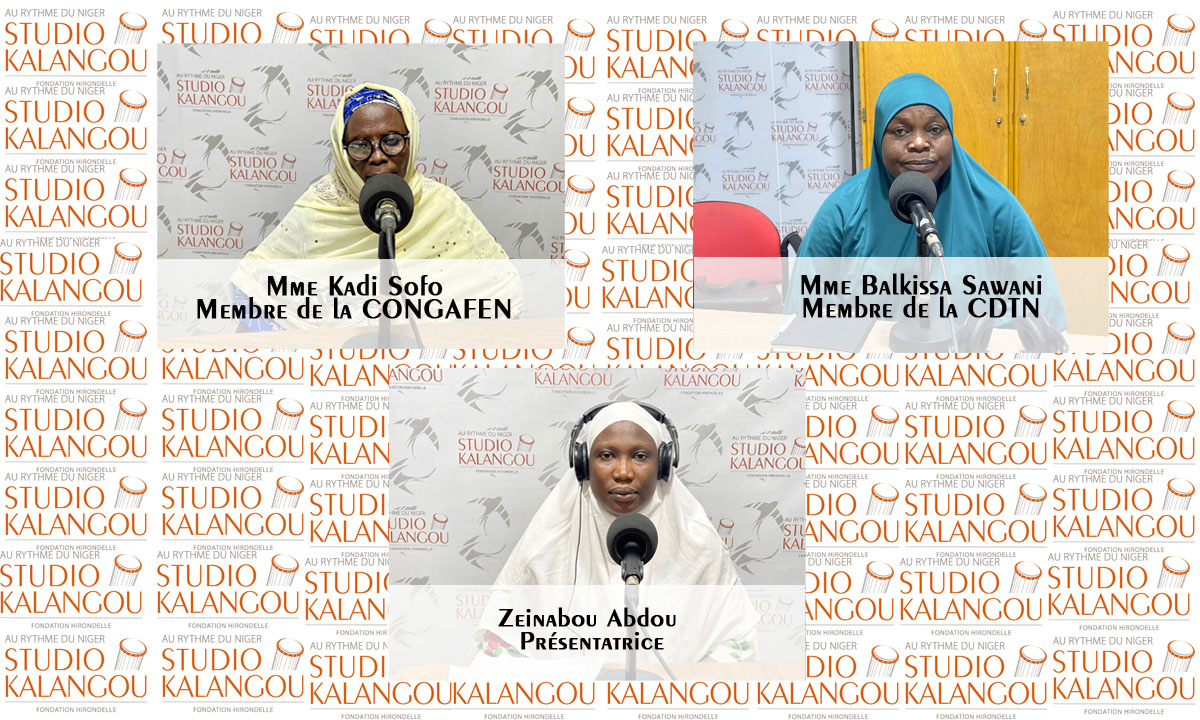 [Rediffusion] Comment atteindre l’équité professionnelle au Niger ?