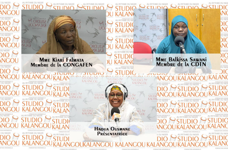 Rediffusion : Quelles sont les voies et moyens à mettre en place pour une équité professionnelle au Niger ?