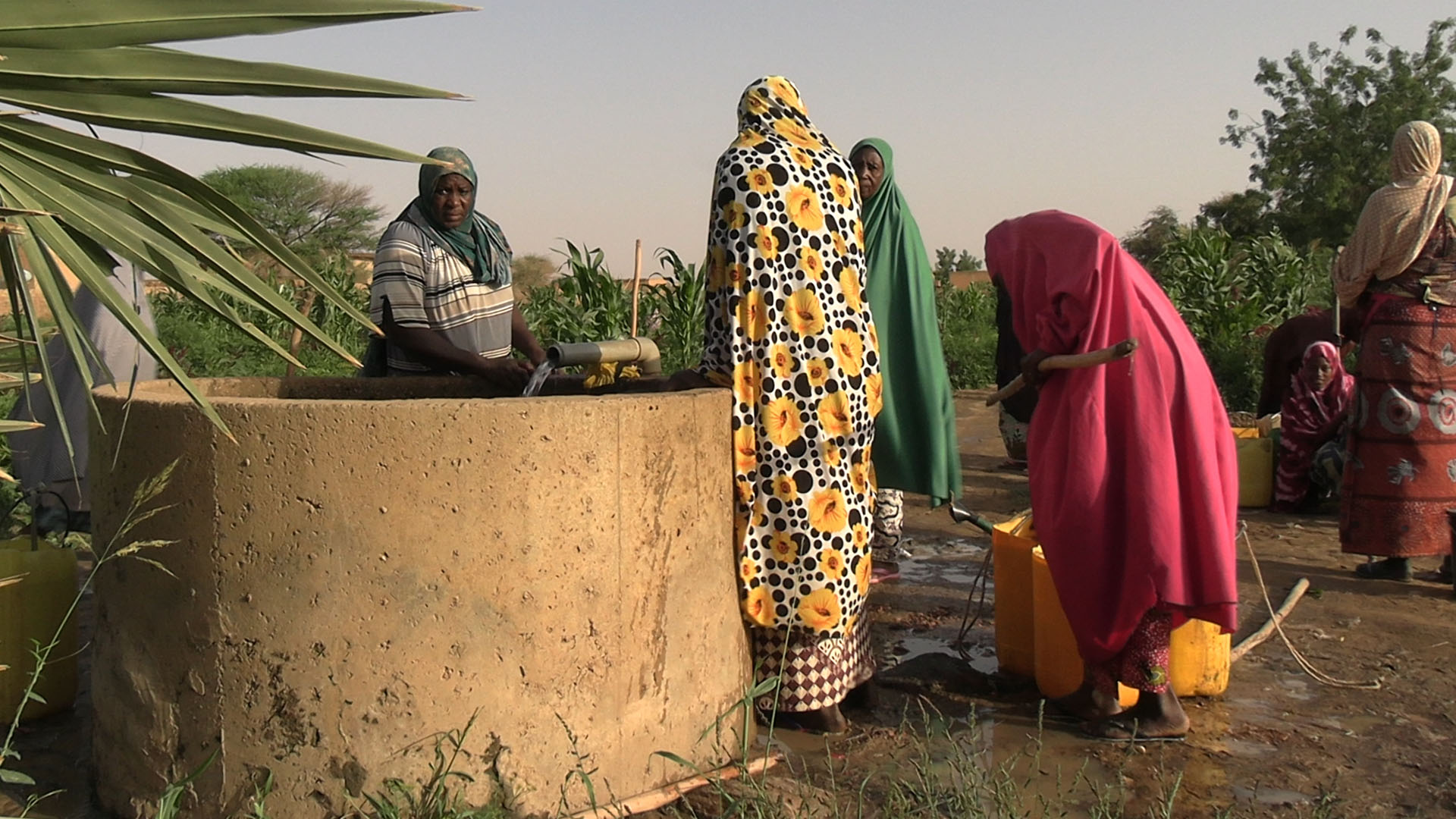 Découverte du groupement Mata Masu Hadin Kai de Filingué