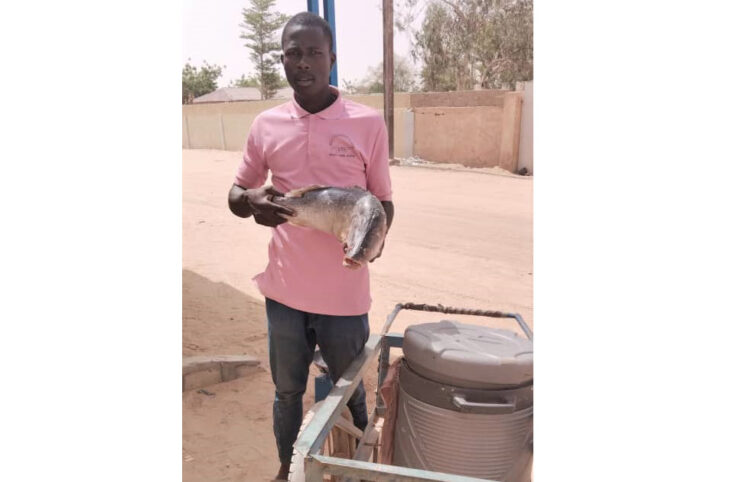 Portrait d'Abdoulaye Oumarou Soumana, vendeur de poissons frais à Agadez