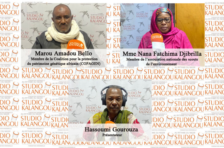 Avantages et inconvenants de l’utilisation des pesticides chimiques de synthèse au Niger