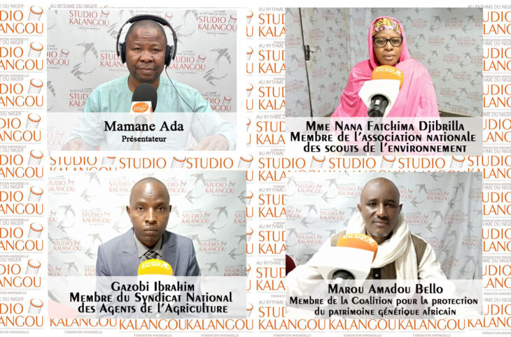 Rediffusion : Avantages et inconvenants de l’utilisation des pesticides chimiques de synthèse au Niger