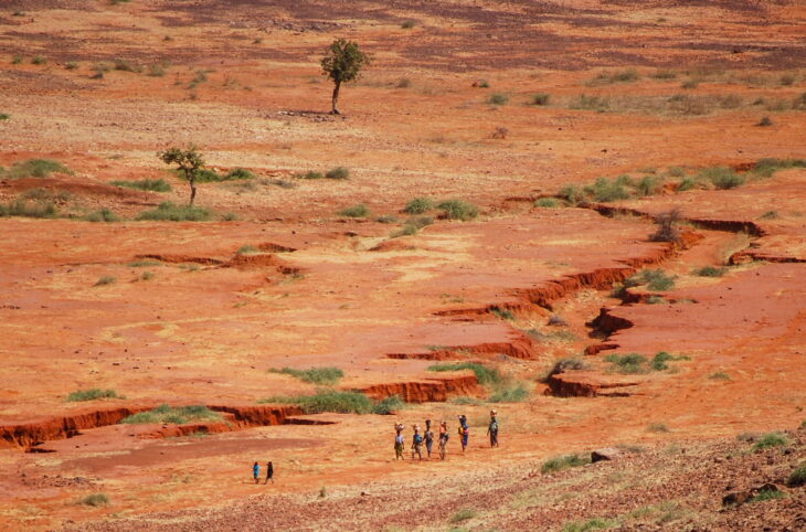 Rôle des structures jeunes et des femmes de Niamey dans la lutte contre le changement climatique