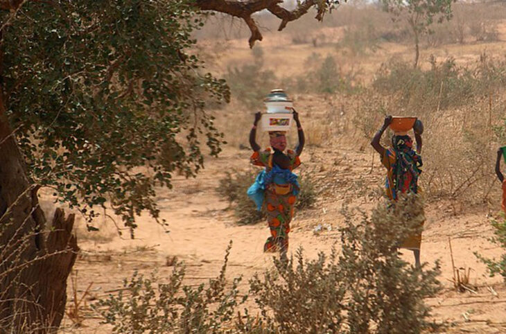En bref. Journée de la femme, Grève, Hadj 2025 : les informations de la semaine