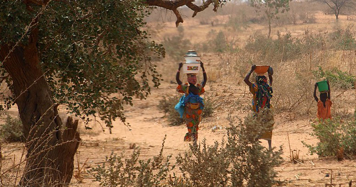 La contribution des femmes dans le développement de la région de Tillabéry