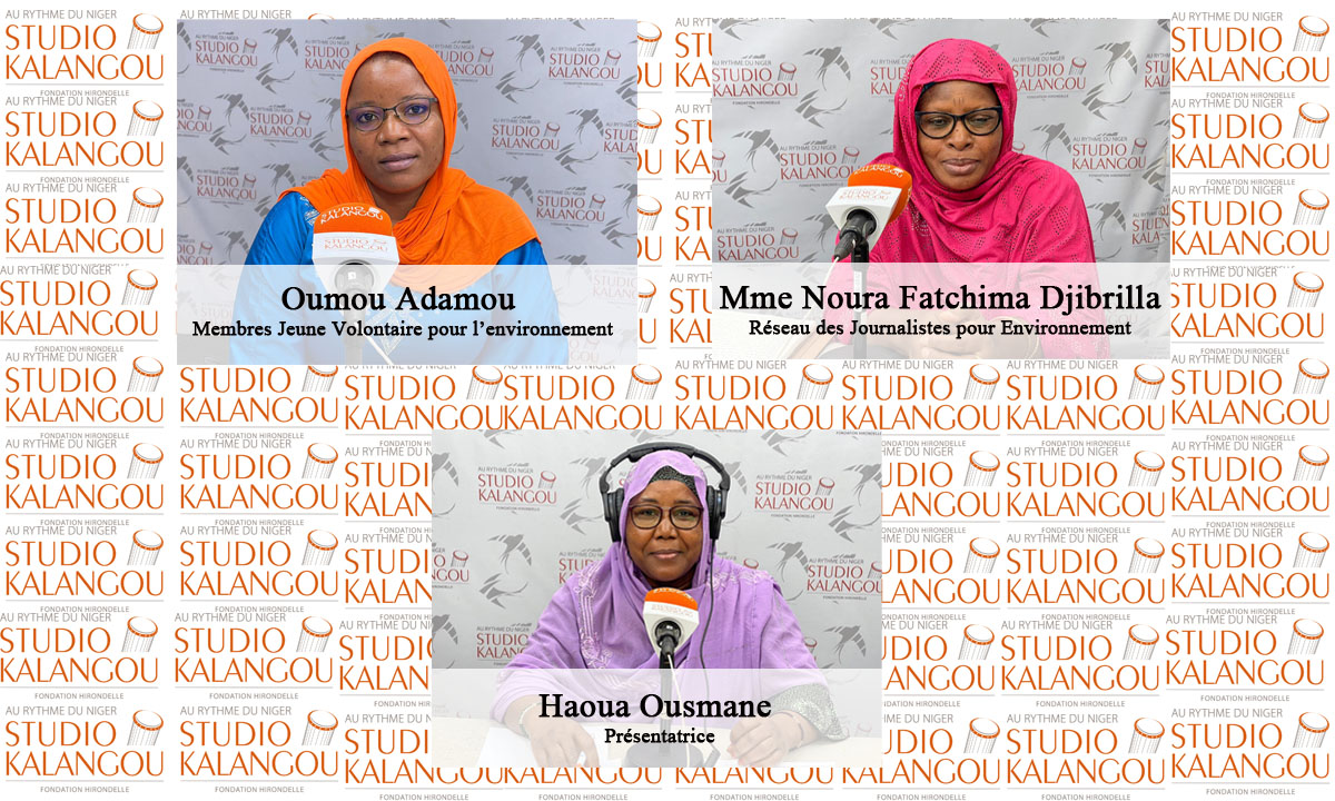 L’engagement des femmes pour la protection de l’environnement au Niger