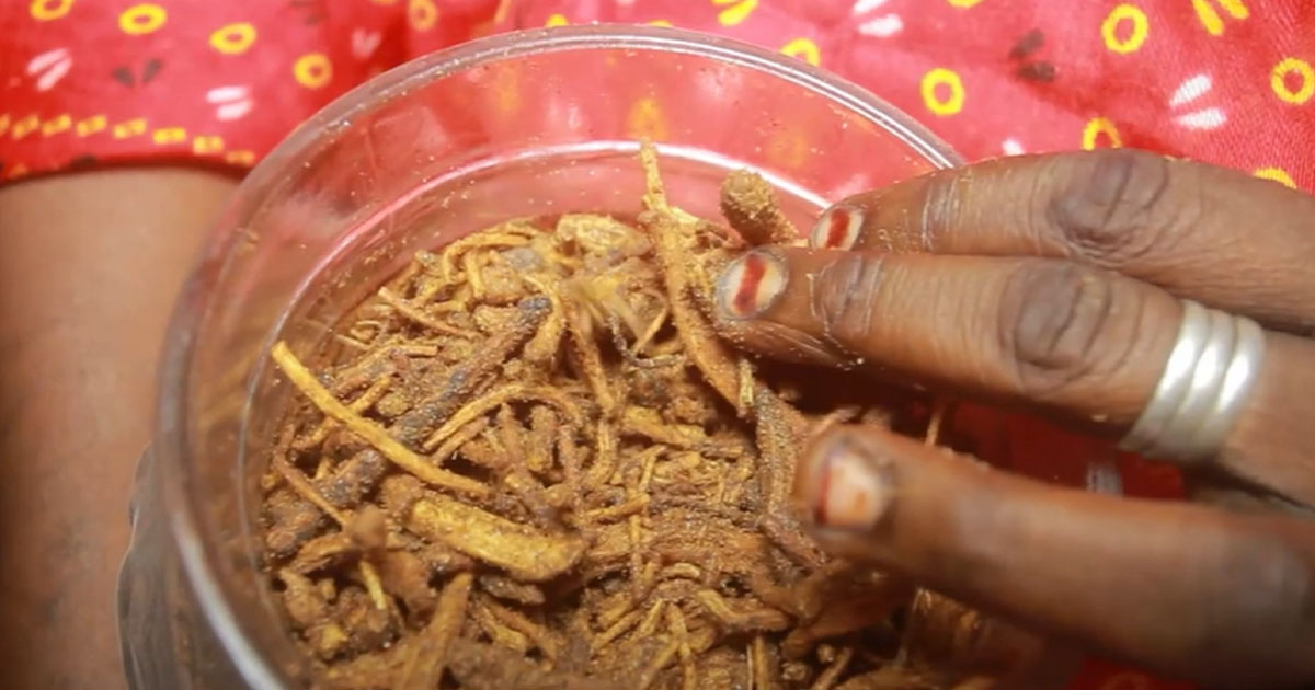 Le poids culturel et économique de l’encens dans la tradition Kanuri