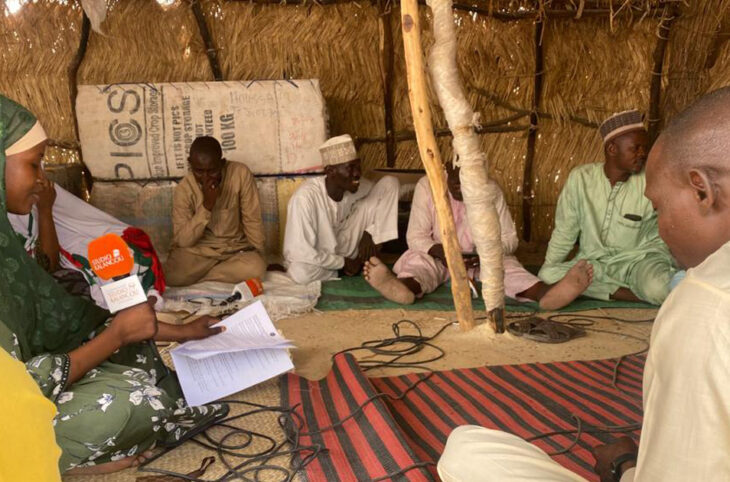 Difficultés liées à la commercialisation du poisson à Diffa