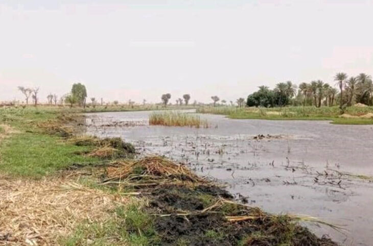 Rediffusion : L’impact du changement climatique sur la mare Albarkayzé dans la commune de Tanda