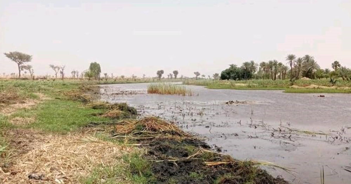 L’impact du changement climatique sur la mare Albarkayzé dans la commune de Tanda