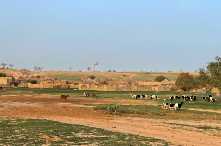 Des initiatives pour protéger l’environnement dans le département de Dogondoutchi