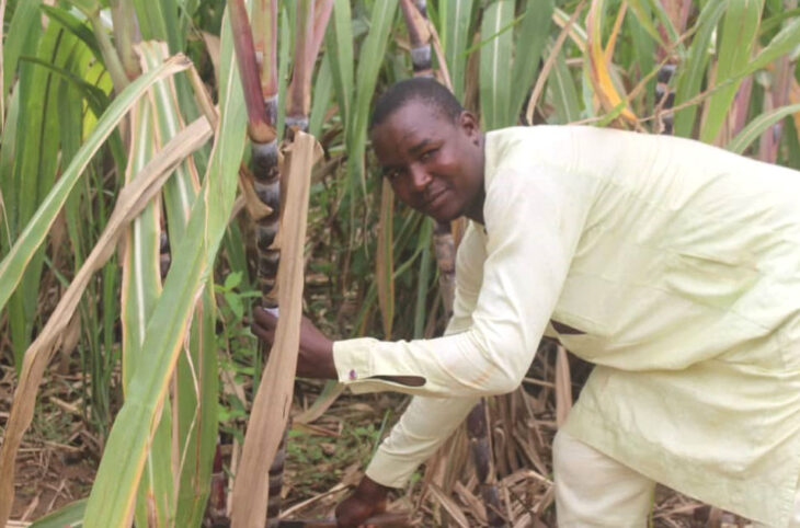 Issiaka Adamou est producteur de canne à sucre à Bengou