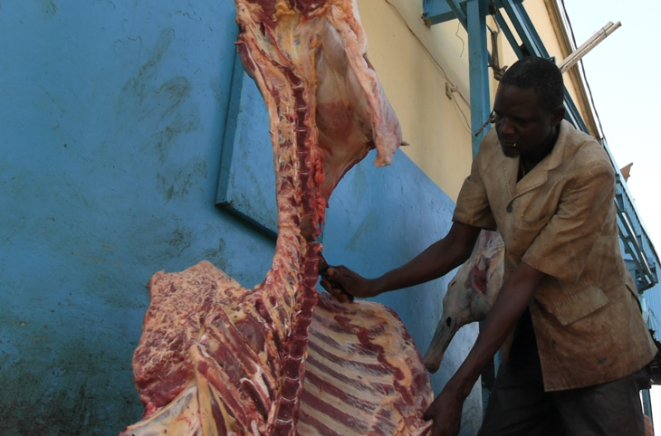 Bovins, camelins, caprins : comment distinguer leur viande ?
