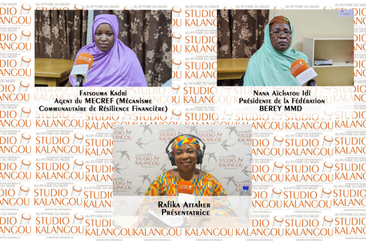 Microfinance et autonomisation des femmes au Niger